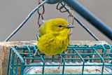 03/31/2025 - 3T7A3764.jpg