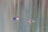 04/10/2025 - 3T7A3856.jpg