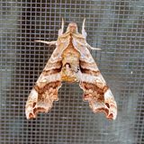 04/28/2025 - 3T7A4248.jpg