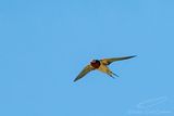 05/15/2025 - 3T7A4889.jpg