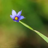 06/07/2025 - 3T7A5275.jpg