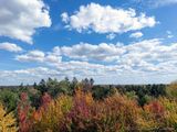 10/06/2025 - DJI_0731.jpg