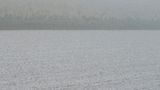 Snow and Fog - V