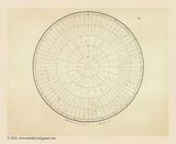 Chart 20