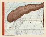 Plate 19 - Ursa Major & Canes Venatici (detail)