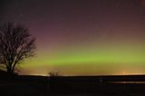 Aurora 20230323 (TSE_9051).jpg