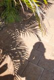 Crescents through Tree Leaves and Sharp and Unsharp Edges