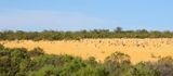 The Pinnacles, Nambung National Park, Western Australia