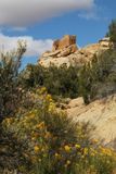 Hovenweep NM