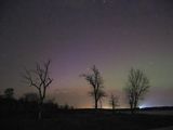 Northwest View with the Big Dipper in the Trees