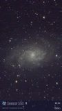 M33