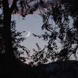 Crescent Moon