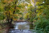 Autumn Beauty on the Brandywine