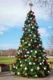 Downingtowns Christmas Tree