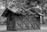 DSCF9052-BW.jpg