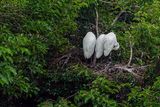 DSC01220-ps.jpg
