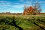 DSCF9182-ps.jpg