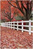 IMG_6886-FB.jpg