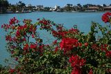 DSC02536-ps.jpg