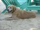 casa and sailing 081.JPG