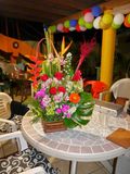 P1000229-edited.JPG