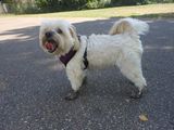 DSCN4066.JPG