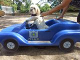 riley 012-edited.JPG