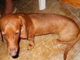 DSCN5631.JPG