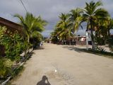 P1000050.JPG