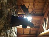 IMG_1160.JPG