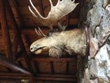IMG_1161.JPG