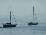 P1010444.JPG