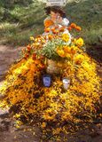 P1090593-edited.JPG