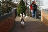Stratford-2004-istD-25.jpg