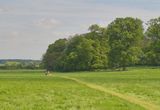 Coughton-Court-2005-istD-02.jpg