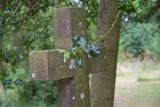 DSC_4507.jpg