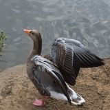 DSC_4488.jpg