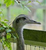 Fujifilm XF70-300mm 4-5.6 R LM OIS WR - 6 12.jpg