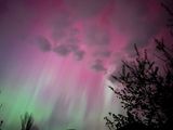 Aurora Borealis IMG_6727.jpeg