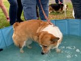 IMG_E9675.JPG