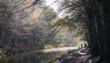 2015 - Basingstoke Canal