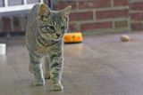 DSC_2409.jpg