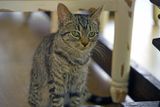 DSC_2412.jpg