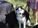 PA050966.JPG