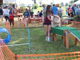 PA050969.JPG