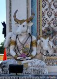 Wat Pariwas Ubosot Bull Headed Man Guardian (DTHB2639)