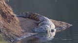 _MG_7020.jpg