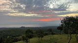 IMG_6374.JPEG