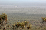 Mallee scrubland
