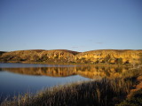 Autumn wetland